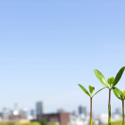 プライバシーポリシー